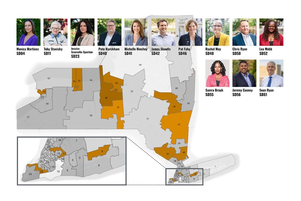NY State Senate Democrats